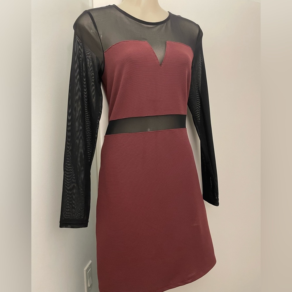 Bodycon mesh dress